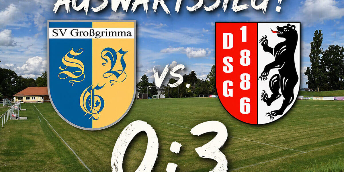 auswaetssieg-dsg