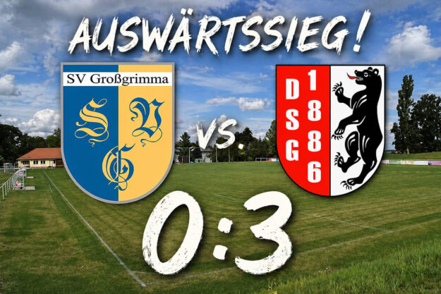 auswaetssieg-dsg