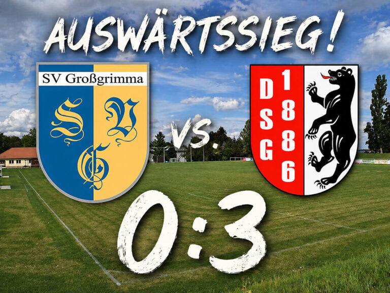 auswaetssieg-dsg